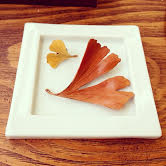 イチョウのブローチ